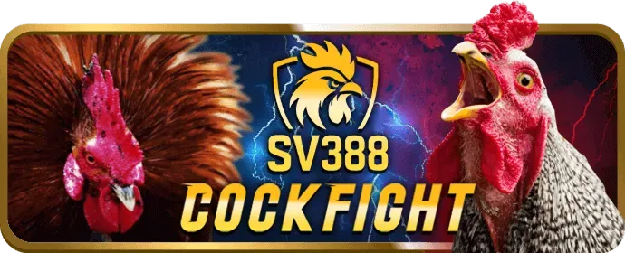 Hoàn trả đá gà hàng ngày b888 win